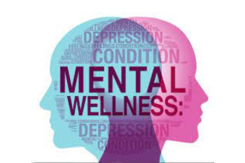 Where to Find the Best Hospital for Mental Health & Wellness?
