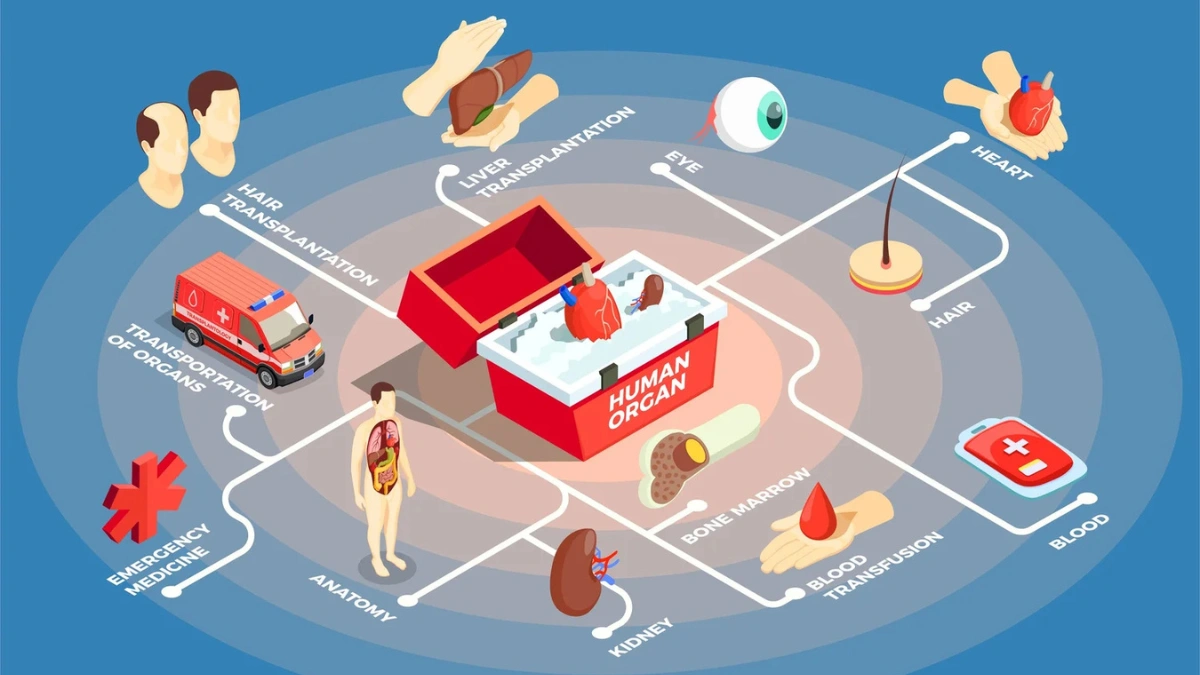 emergency organ transplants